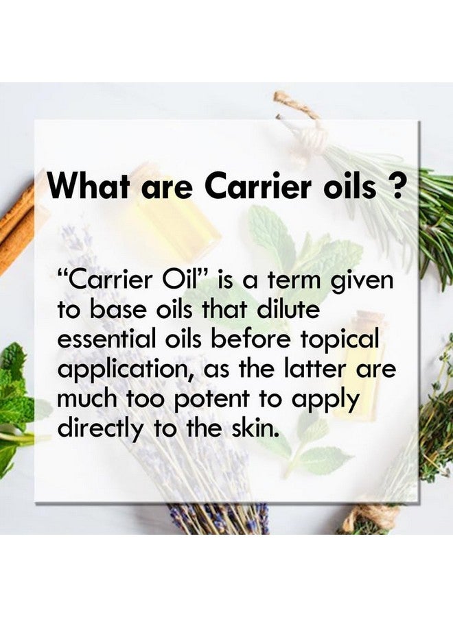 Greenwood Essential Pure Liquorice (Licorice) Oil (Glycyrrhiza Glabra) Therapeutic Grade For Hair, Skin & Aromatherapy 10Ml (0.33 Oz) - Image 3