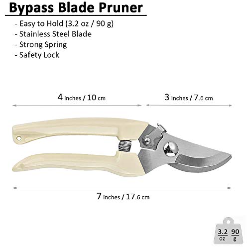 BUGUI Garden Shears Set of 2, Includes 1 Bypass Pruning Shears and 1 Straight Blade Garden Scissors, Sharp, Lightweight - Image 2