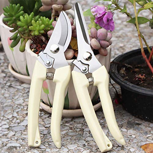 BUGUI Garden Shears Set of 2, Includes 1 Bypass Pruning Shears and 1 Straight Blade Garden Scissors, Sharp, Lightweight - Image 4