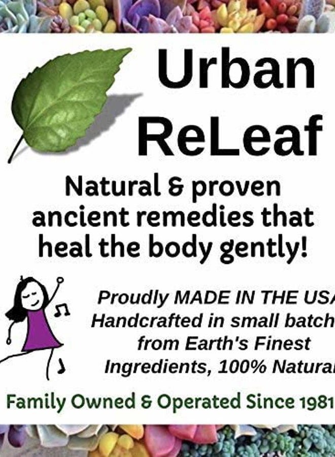 Urban ReLeaf NETI Salt Air Relief INHALERS! Set of Two (2) Sinus & Lung, Himalayan & Botanicals! Respiratory Wellness. Healing Aromatherapy. Energizing! Colds, Asthma, Cough, Bronchitis 100% Natural - Image 3