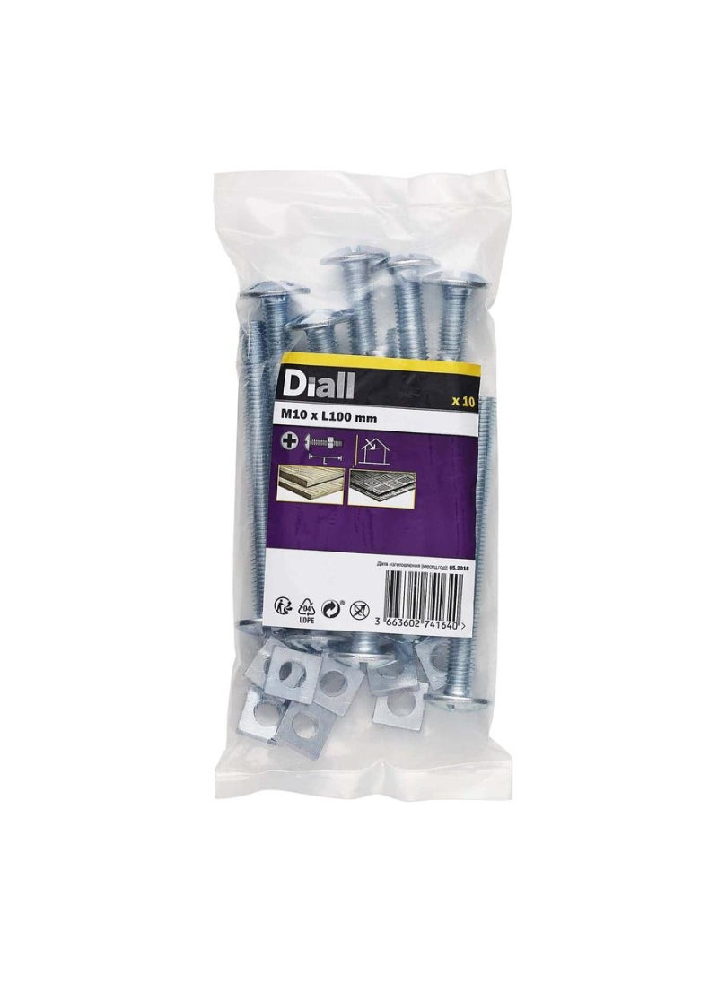 ACE Zinc Plated Carbon Steel Roofing Square Nut And Bolt Pack M10 X 100 Mm 10 Piece 