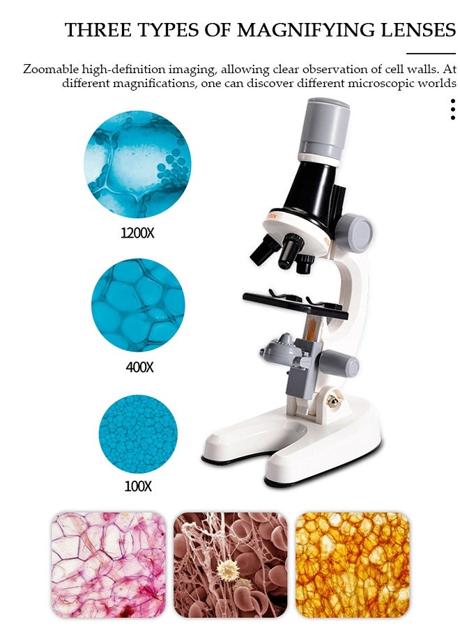 DUNISO Microscope Kits For Kids Beginner Microscope Kit With LED 100X 400X And 1200X Magnification Kids Educational Toy Preschool Science Toy Birthday Gift - Image 4