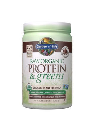 Garden Of Life Raw Organic Protein and Greens, 20g Protein Organic Plant Formula Real Raw Chocolate 1 LB - pzsku/Z11856EE24D734A53A491Z/45/1746391458/2ae91ac0-4ac9-45b0-a858-a5147be03304