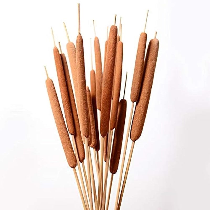 RUKDA Natural Cattails || Decoration Cattails || Stalks Dried Flower Dry Grass Bouquet for Wedding Table centerpieces Decoration, Home Decoration, Office Decoration (cattails, Natural 5pcs) - Image 1