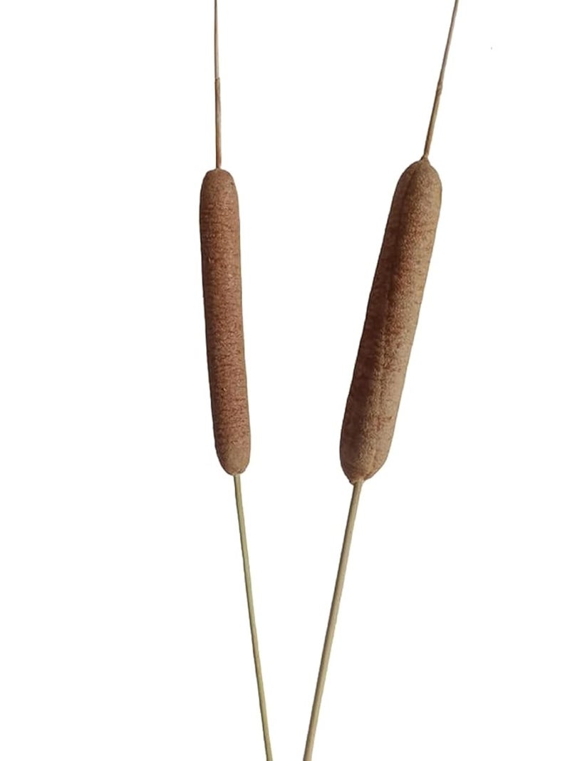 RUKDA Natural Cattails || Decoration Cattails || Stalks Dried Flower Dry Grass Bouquet for Wedding Table centerpieces Decoration, Home Decoration, Office Decoration (cattails, Natural 5pcs) - Image 2