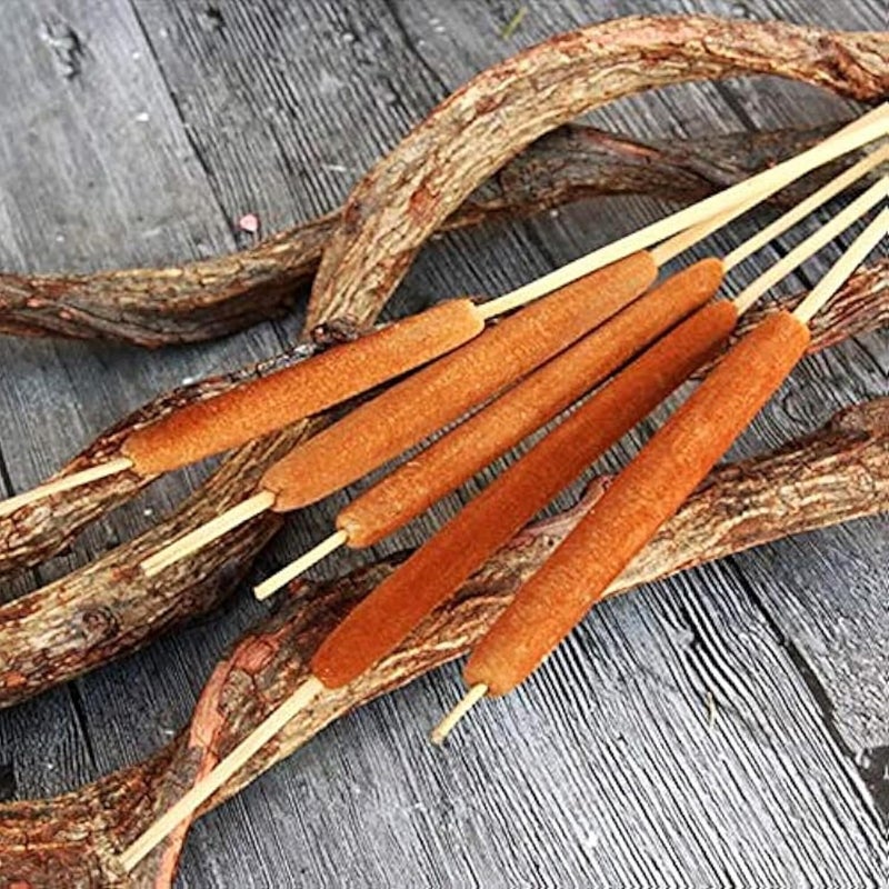 RUKDA Natural Cattails || Decoration Cattails || Stalks Dried Flower Dry Grass Bouquet for Wedding Table centerpieces Decoration, Home Decoration, Office Decoration (cattails, Natural 5pcs) - Image 3