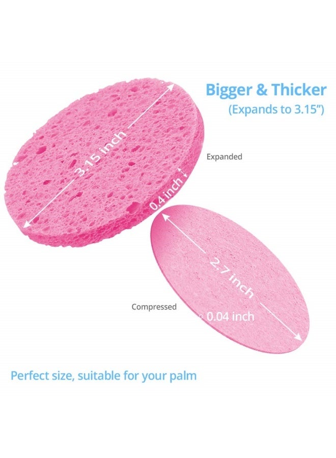 Natural Facial Cleansing Sponges- 20 Count Compressed Facial Sponges Cellulose Reusable Soft Cosmetic Esponjas para Faciales for Professional Makeup Removal, Facials Spa, Exfoliator, Skin Massage - Image 2