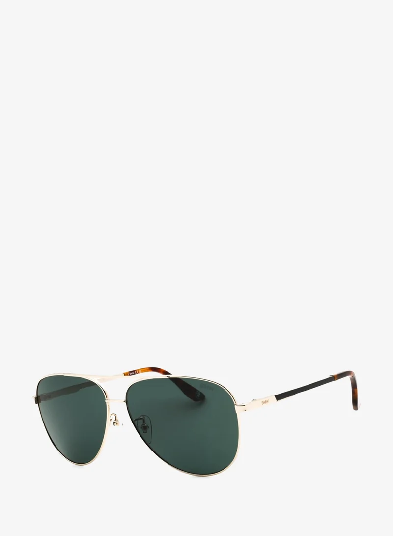 Unisex Aviator Sunglasses - BW0054-H