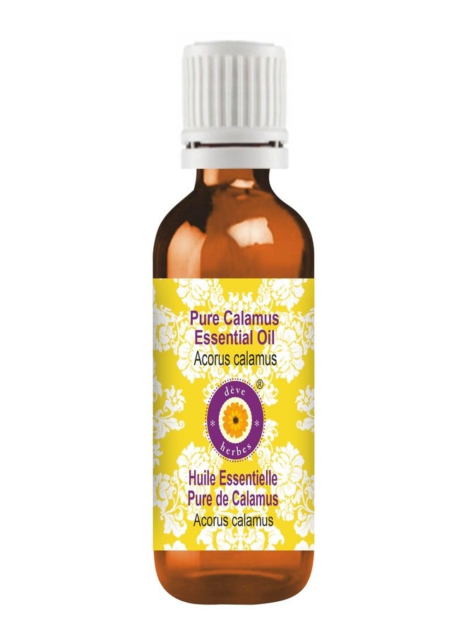 Deve Herbes Calamus Essential Oil (Acorus calamus) Pure | Non-Sticky | Non-greasy | Lightweight | Men & Women | All Skin Types | Steam Distilled 10ml - Image 1