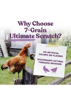 7-Grain Ultimate Chicken Scratch - Scratch Grain Treat For Chickens And Other Birds - Non-Gmo Natural Ingredients - 10 Lbs - pzsku/Z118AA49514E15C115E8EZ/45/_/1735214500/557bc636-21db-4a09-9fa6-de18d847a759