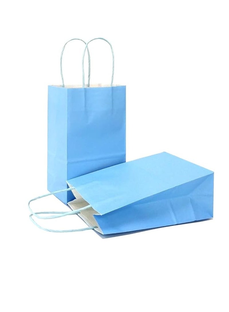 12 Piece Paper Gift Bag Set 27x21x11 Cm Light Blue