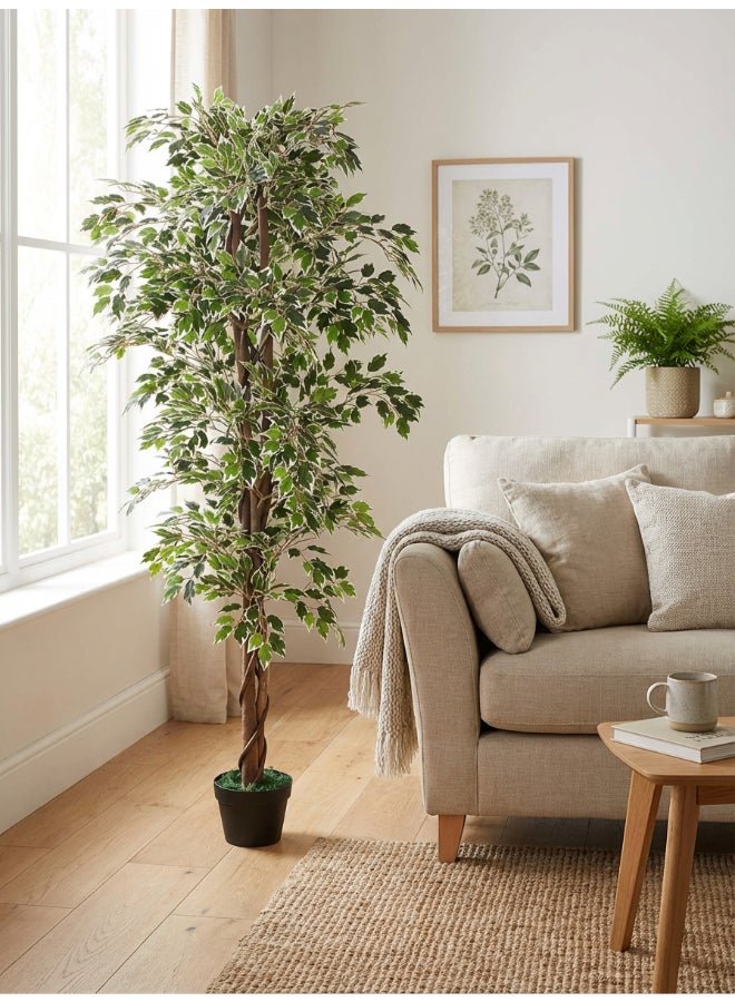 ايست من نون شجرة فيكوس صناعية بارتفاع 160 سم (5.2 قدم) مع وعاء | نبات أرضي بتصميم وملمس واقعي - أخضر | شجرة بتصميم طبيعي زخرفي للمنزل، غرفة المعيشة، غرفة الدراسة ومكاتب العمل - Image 1