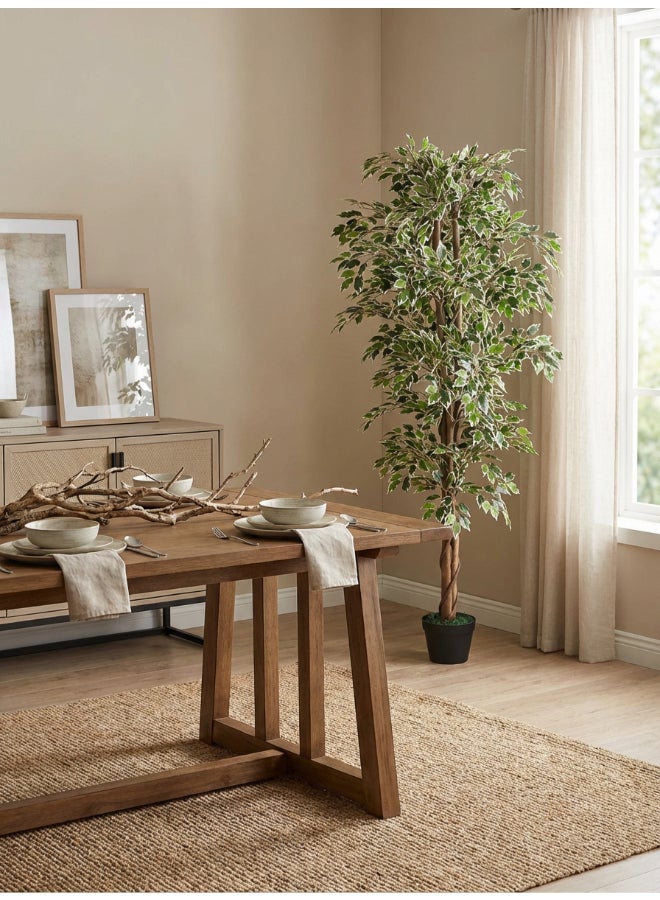 ايست من نون شجرة فيكوس صناعية بارتفاع 160 سم (5.2 قدم) مع وعاء | نبات أرضي بتصميم وملمس واقعي - أخضر | شجرة بتصميم طبيعي زخرفي للمنزل، غرفة المعيشة، غرفة الدراسة ومكاتب العمل - Image 4