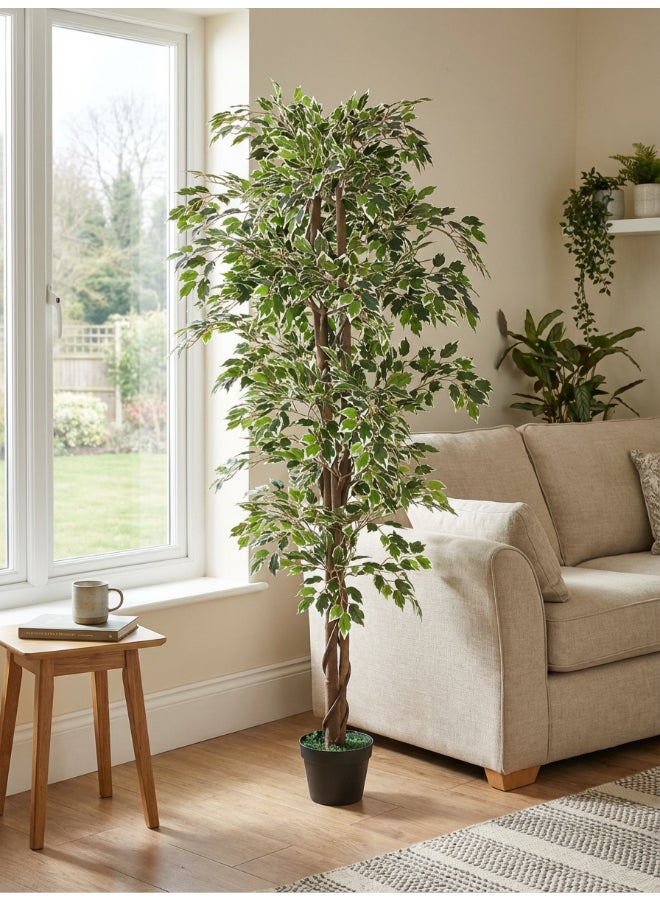 ايست من نون شجرة فيكوس صناعية بارتفاع 160 سم (5.2 قدم) مع وعاء | نبات أرضي بتصميم وملمس واقعي - أخضر | شجرة بتصميم طبيعي زخرفي للمنزل، غرفة المعيشة، غرفة الدراسة ومكاتب العمل - Image 3