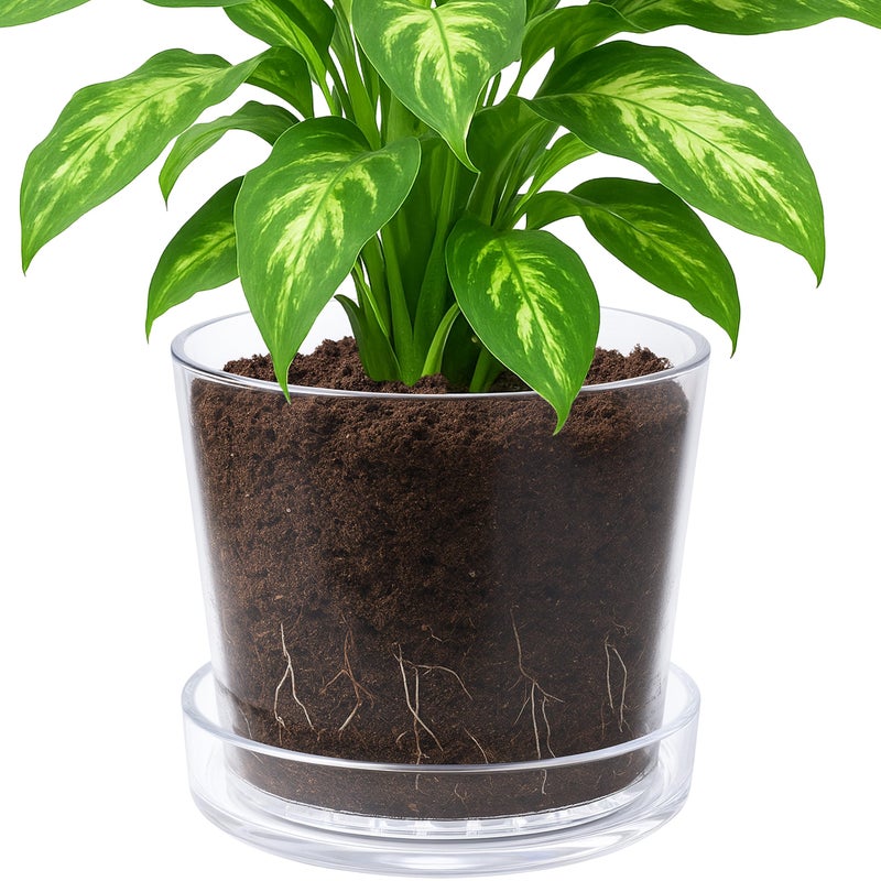 Phoenix Vine 10 Inch Clear Acrylic Planter Pot with Tray, Orchid Pot with Drainage Holes, Deep Saucer for Bottom Watering, Transparent Containers for Indoor Plants, Herbs, Set of 1, 91-A-H-1 - Image 1