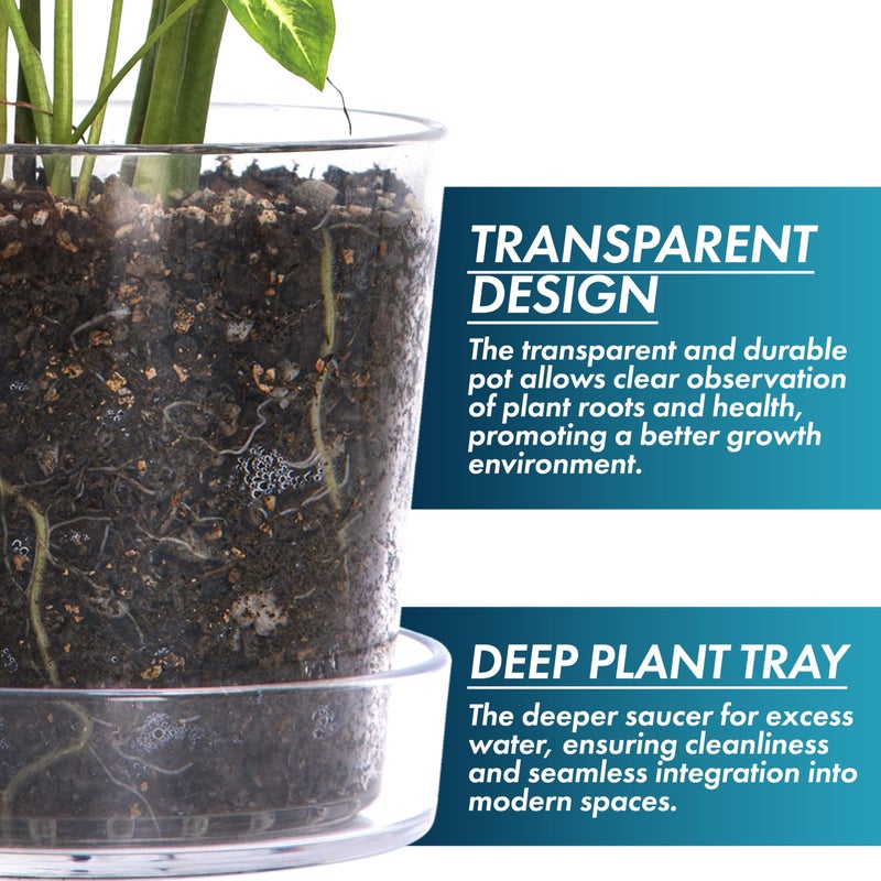 Phoenix Vine 10 Inch Clear Acrylic Planter Pot with Tray, Orchid Pot with Drainage Holes, Deep Saucer for Bottom Watering, Transparent Containers for Indoor Plants, Herbs, Set of 1, 91-A-H-1 - Image 5