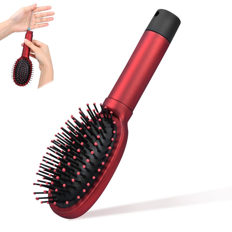 Worldity Diversion Safe Hair Brush to Store Money Cash Jewelry Mini Keys Beach Safe Container Real Hair Brush Comb for Valuables Perfect for Mothers Day Fathers Day Christmas