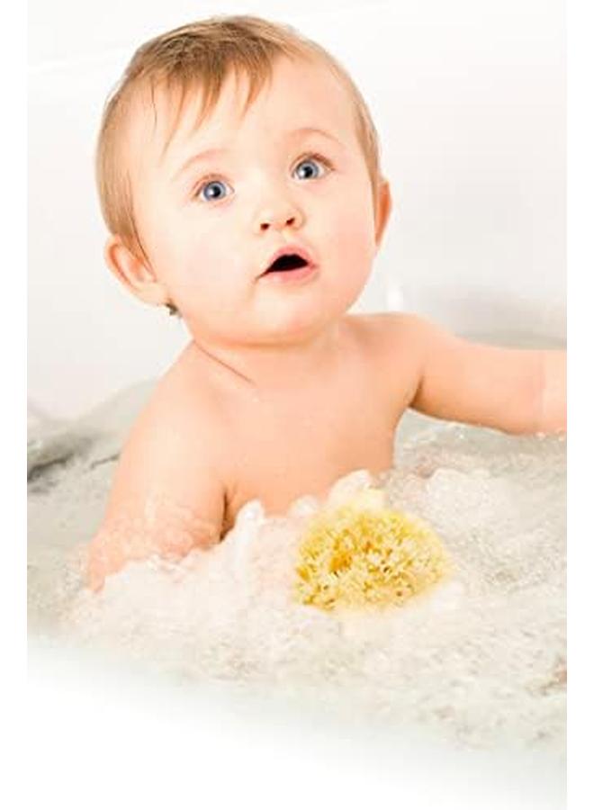 بيليني إسفنجة البحر على شكل قرص العسل طبيعية 100%، مقاس 18 قطعة من قطعة واحدة - Image 3