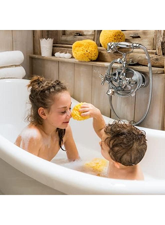 بيليني إسفنجة البحر على شكل قرص العسل طبيعية 100%، مقاس 18 قطعة من قطعة واحدة - Image 4