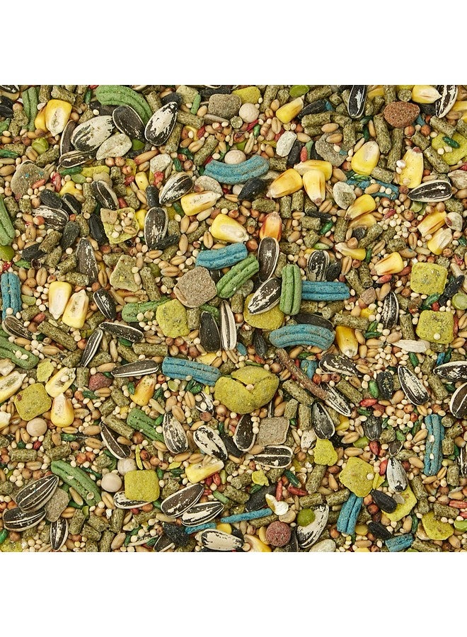 كايتي طعام كيتي فورتي-دايت برو هيلث للحيوانات الأليفة من الهامستر والجربوع، 3 أرطال - Image 3