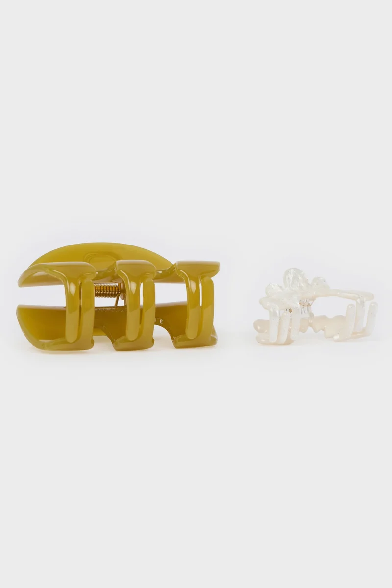 Defacto  Woman 2 Piece Hair Clips for Women | Best Price UAE