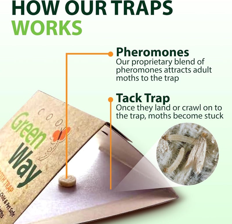 Insects Limited Greenway Clothing Moth Traps with Powerful Pheromone Lures for Effective, Odor-Free Closet Protection, Non-Toxic, Eco-Friendly & Long-Lasting Solution, 1 Packs (Includes 2 Traps & 2 Lures) - Image 5