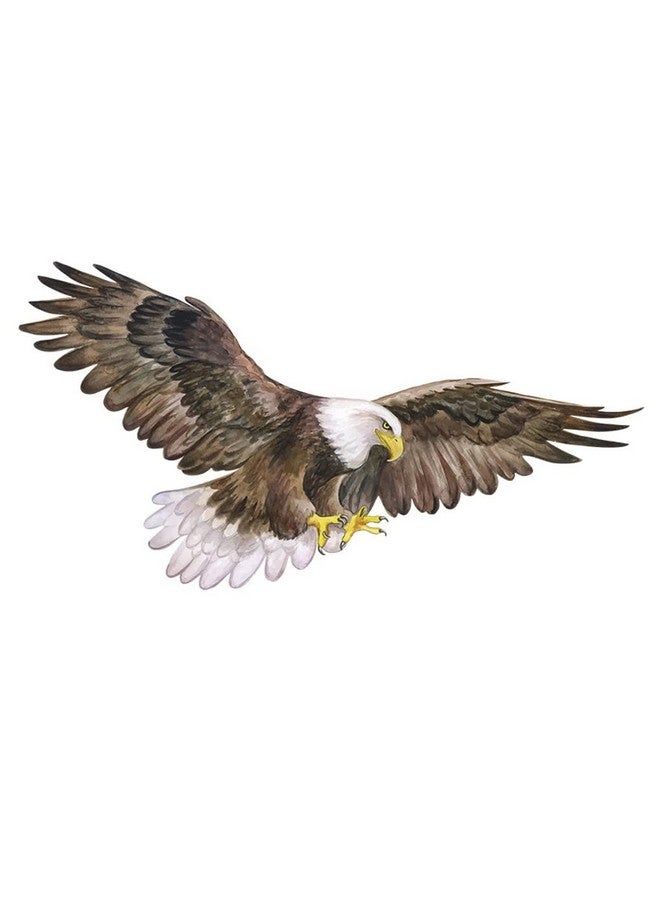 Boodecal Watercolor Painting Cool Wild Bald Eagle America Bird Wall Stickers Removable Wall Decals Peel and Stick Wall Art Decorations Home Decor for Kid Nursery Baby Bedroom Living Room Playing Room - Image 1