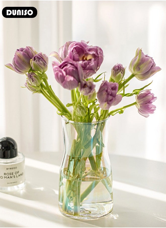 Glass Vases for Decor, Decorative Vases for Flowers, Aesthetic Clear Vases for Living Room Decorations, Modern Hydroponic Glass Transparent Vase Vase for Dining Table Home Decor