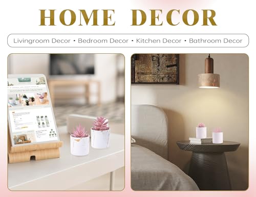 Der Rose 4 Packs Fake Succulents Plants Artificial Indoor for Pink Room Bathroom Decor Office Desk Accessories for Women - Image 5
