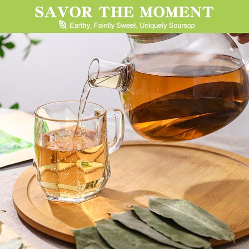 FullChea - Soursop Leaves, 170+ Hojas De Guanabana - Premium Soursop Leaves Tea - Guanabana Leaves - Non-GMO - Caffeine-free - Improve Digestion, Support Skin & Sleep - Image 5
