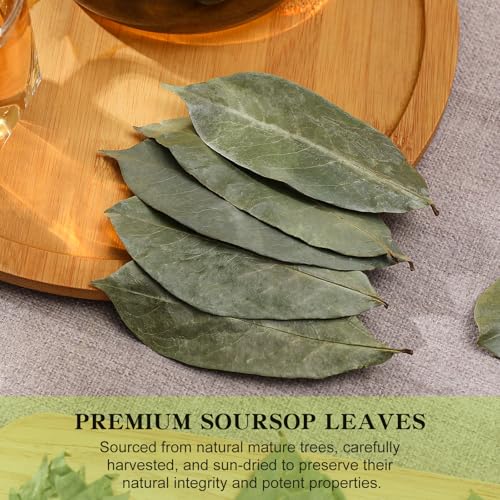 FullChea - Soursop Leaves, 170+ Hojas De Guanabana - Premium Soursop Leaves Tea - Guanabana Leaves - Non-GMO - Caffeine-free - Improve Digestion, Support Skin & Sleep - Image 2