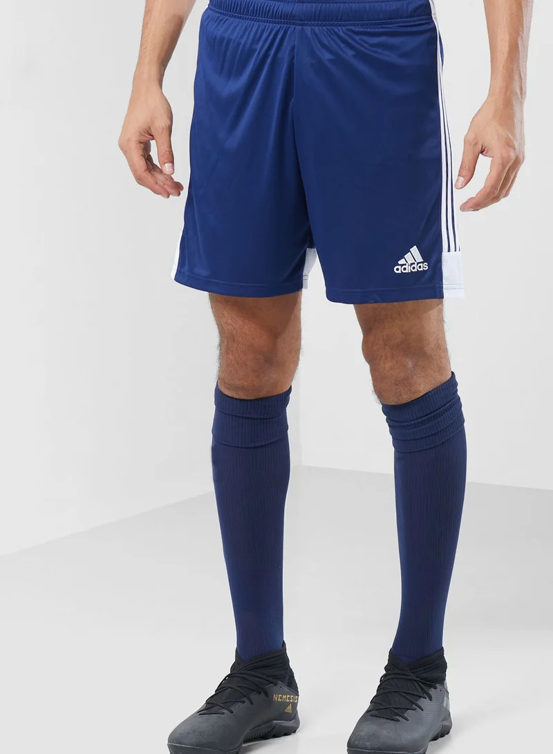 Adidas Tastigo19 Shorts