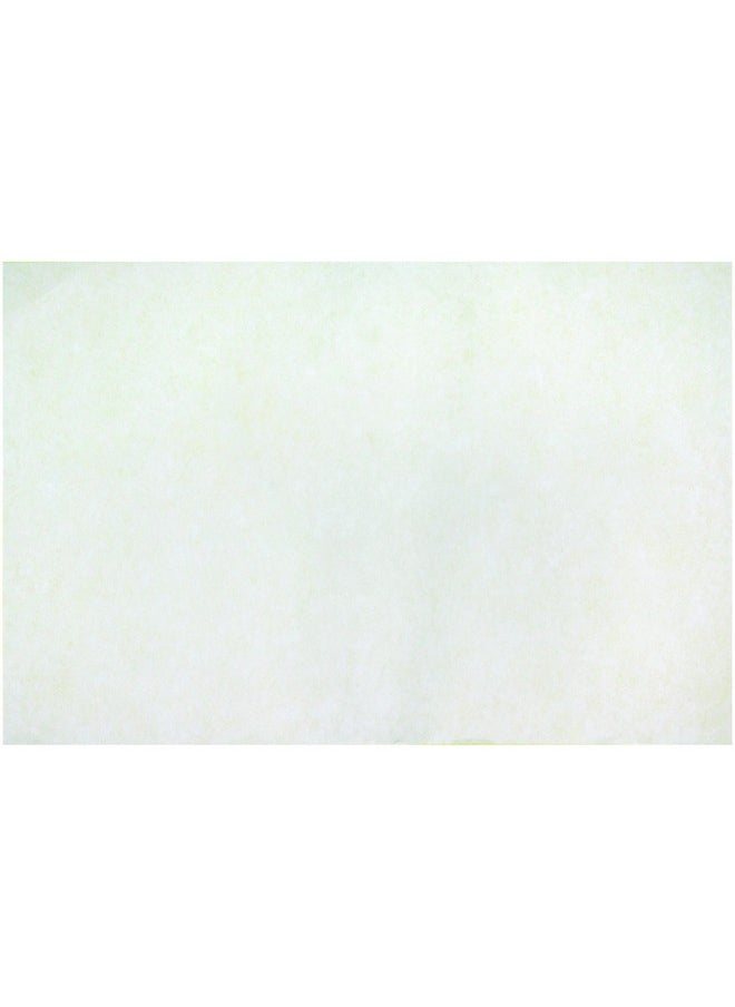 Color Diffusing Paper 12 X 18 Inches Pack Of 50 Sheets White - pzsku/Z119C994AA91A8717B403Z/45/_/1698062175/9d88186a-d494-4698-9324-c723df4b372d