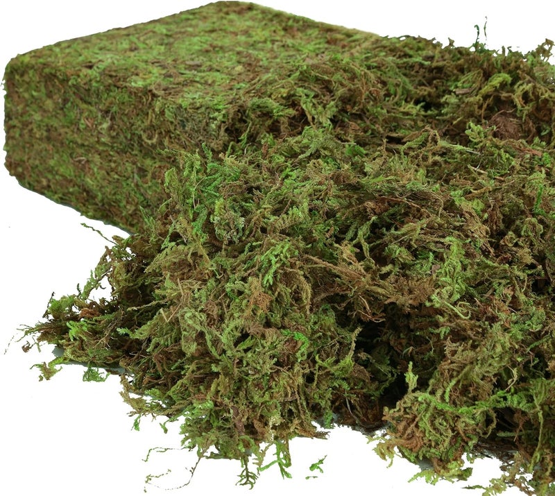 USMOLA زغب صناعي للنباتات داخل المنزل، 16 أونصة من الزغب الصناعي للاستخدام في الحرف اليدوية والزينة، زغب ديكوري لتزيين مراكز الطاولات وحدائق الجنيات وحفلات الزفاف، زغب صناعي للنباتات في الأواني، وزن 455 جرام (لون أخضر طبيعي). - Image 1