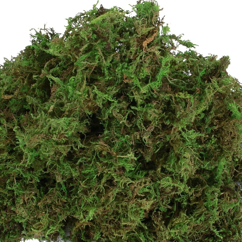 USMOLA زغب صناعي للنباتات داخل المنزل، 16 أونصة من الزغب الصناعي للاستخدام في الحرف اليدوية والزينة، زغب ديكوري لتزيين مراكز الطاولات وحدائق الجنيات وحفلات الزفاف، زغب صناعي للنباتات في الأواني، وزن 455 جرام (لون أخضر طبيعي). - Image 4