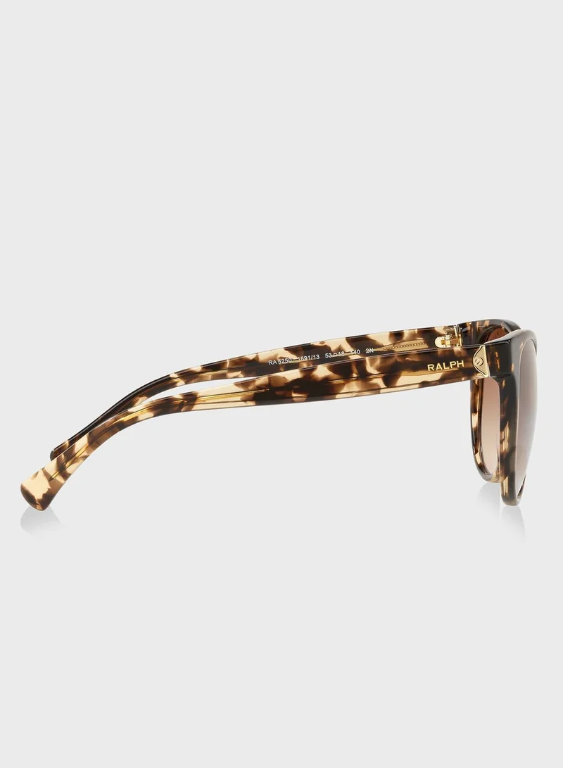 POLO RALPH LAUREN 0RA5250 Camo Wayfarer Sunglasses