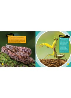 Deadliest Animals on the Planet  - Image 2