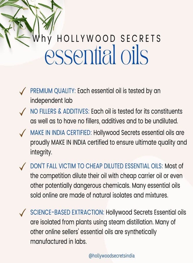 Hollywood Secrets Pure Rose Essential Oil Therapeutic Grade 50ml - Image 4