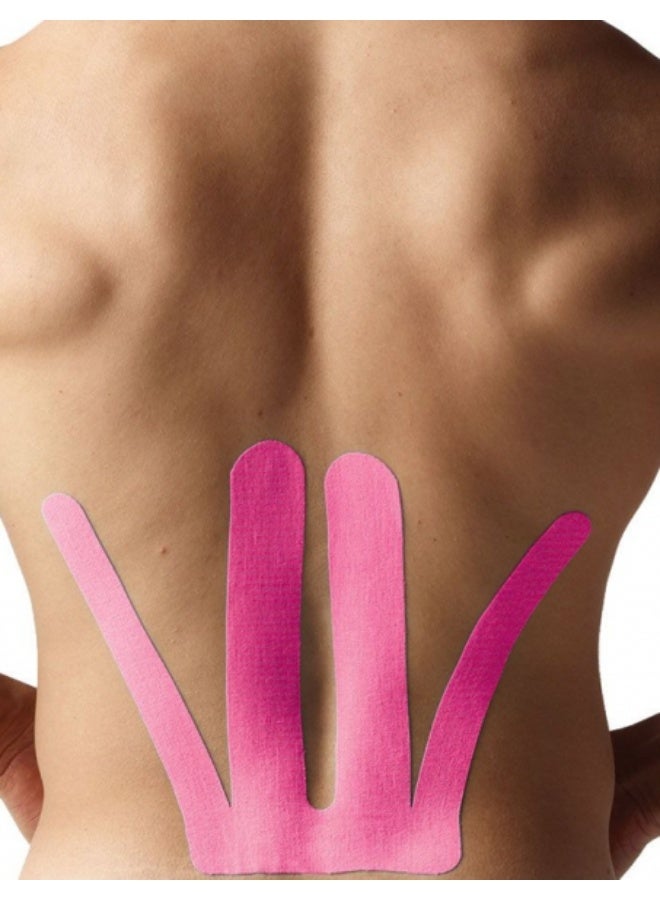 سبايدر تيك للجنسين للبالغين NI0040.12.BT.22 سبايدر تيك صنبور الحركة، أسفل الظهر، سبايدر، 6 قطع، علبة معدنية، وردي - Image 2