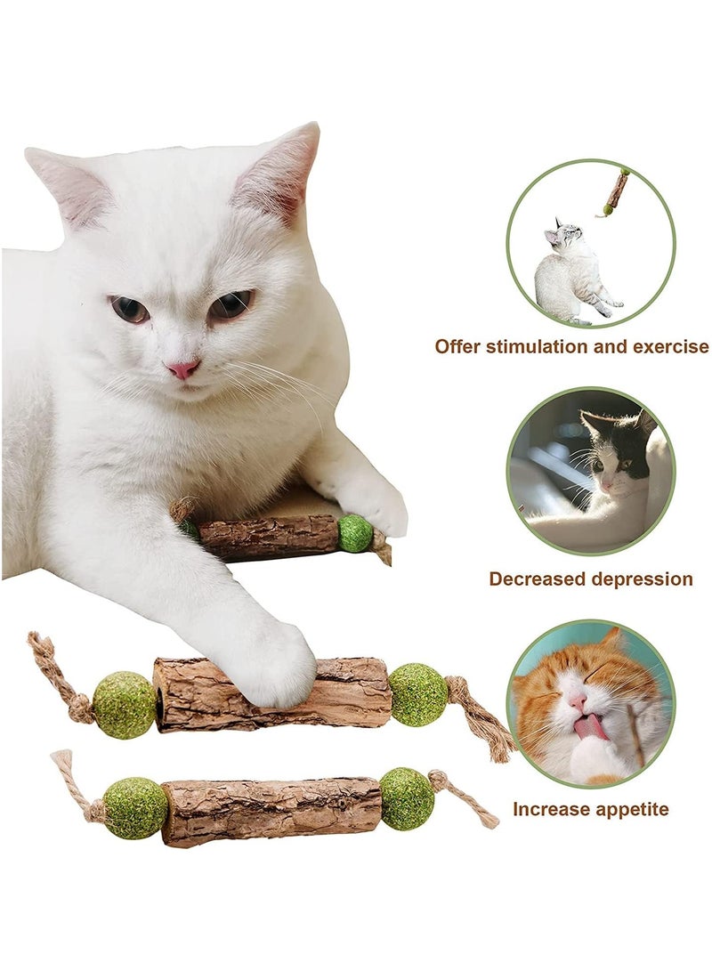 general Silver Vine Stick Catnip Toys, 5 Piece Kitten Dental Cleaning Sticks, Help Kitten Dental Care, Increase Appetite, Calm Anxiety and Stress for Cats, Suitable for All Feline Breeds - Image 2