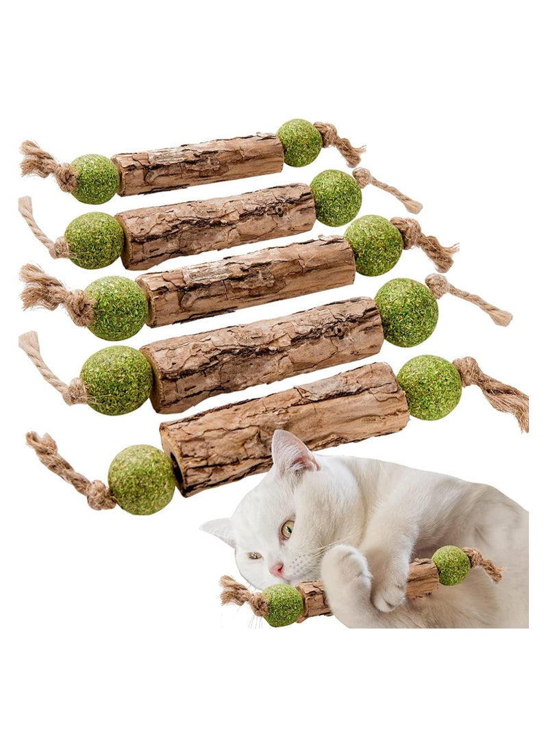 general Silver Vine Stick Catnip Toys, 5 Piece Kitten Dental Cleaning Sticks, Help Kitten Dental Care, Increase Appetite, Calm Anxiety and Stress for Cats, Suitable for All Feline Breeds - Image 1