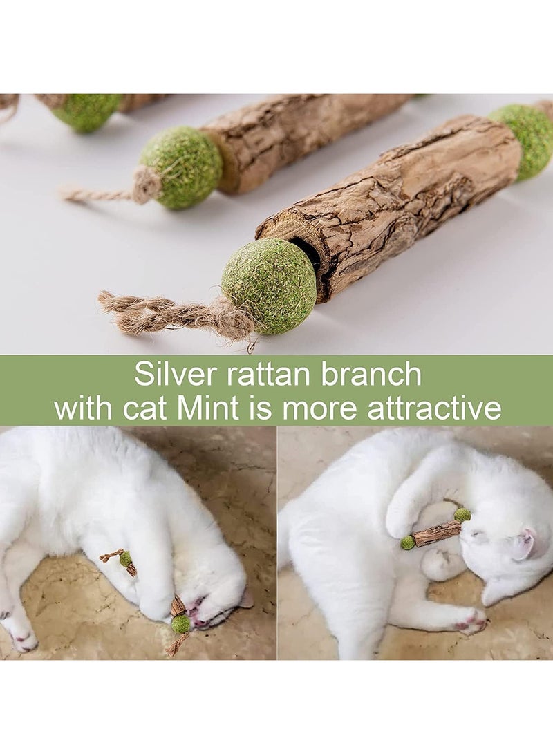general Silver Vine Stick Catnip Toys, 5 Piece Kitten Dental Cleaning Sticks, Help Kitten Dental Care, Increase Appetite, Calm Anxiety and Stress for Cats, Suitable for All Feline Breeds - Image 3