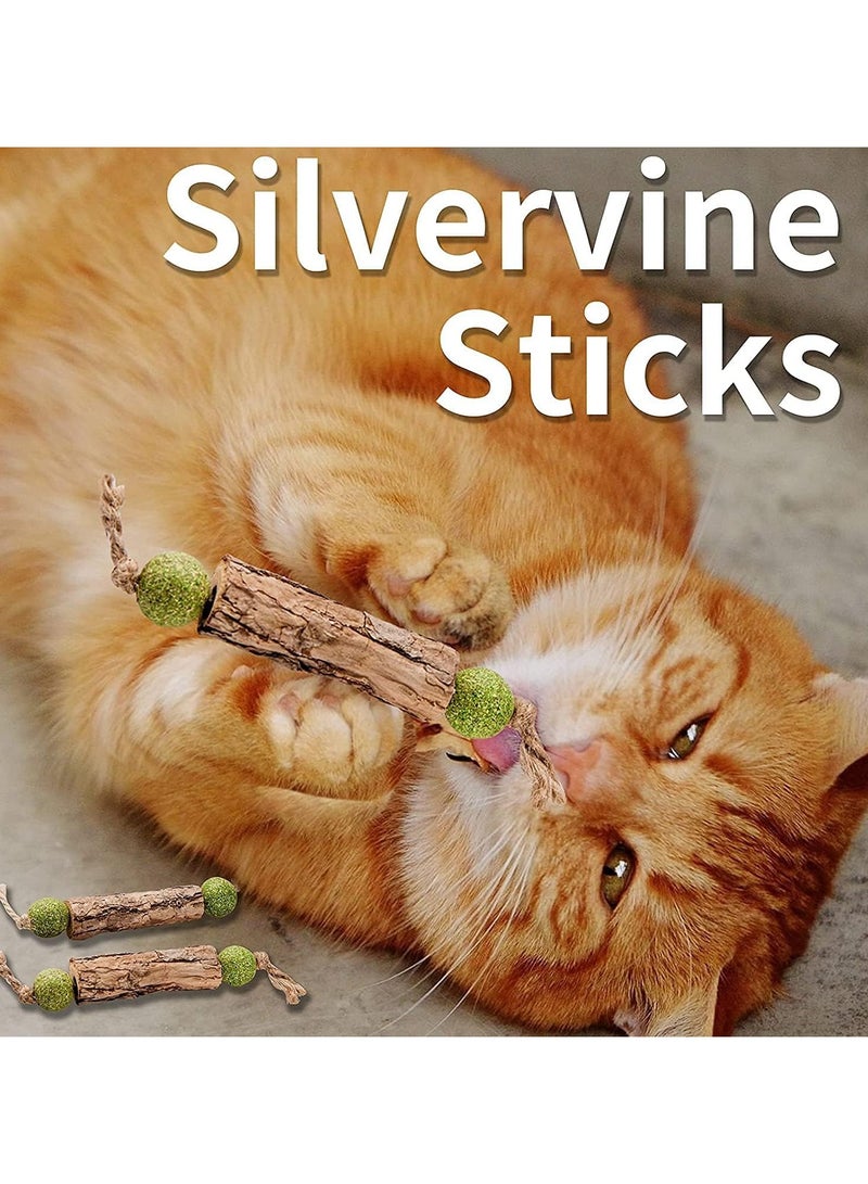 general Silver Vine Stick Catnip Toys, 5 Piece Kitten Dental Cleaning Sticks, Help Kitten Dental Care, Increase Appetite, Calm Anxiety and Stress for Cats, Suitable for All Feline Breeds - Image 4