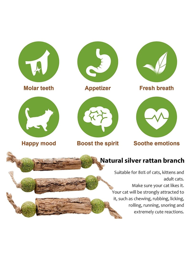 general Silver Vine Stick Catnip Toys, 5 Piece Kitten Dental Cleaning Sticks, Help Kitten Dental Care, Increase Appetite, Calm Anxiety and Stress for Cats, Suitable for All Feline Breeds - Image 5