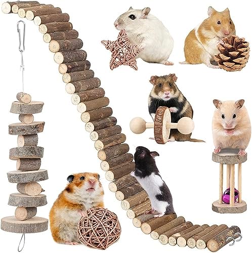 BBjinronjy Hamster Accessories Guinea Pig Chinchilla Chew Toys Suspension Bridge Set Willow Ball Stuff for Dwarf Syrian Chinchillas Gerbils - Image 1