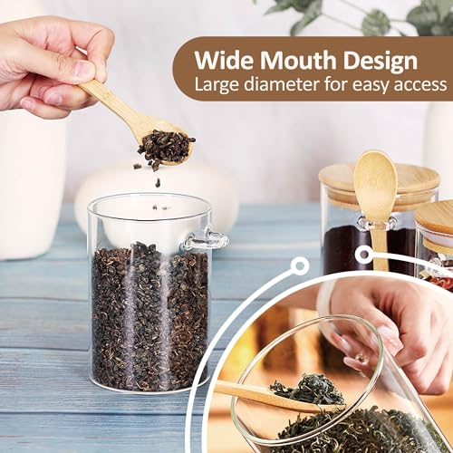 MOLADRI 15 oz/450 ml Glass Storage Canister with with Airtight Lid, Cute Clear Decorative Container Jar with Wooden Spoon for Coffee Spice Candy Salt Cookie Condiment Sugar Matcha Tea Overnight Oats - Image 4