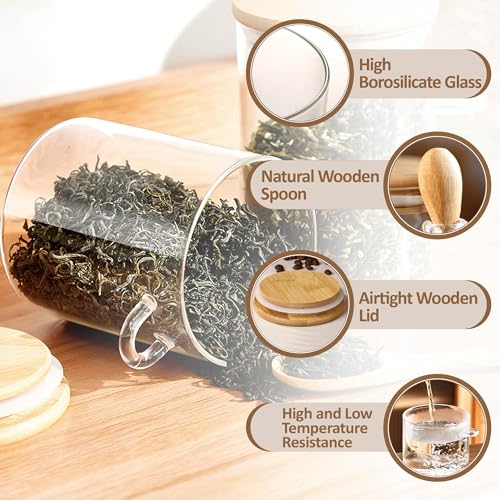 MOLADRI 15 oz/450 ml Glass Storage Canister with with Airtight Lid, Cute Clear Decorative Container Jar with Wooden Spoon for Coffee Spice Candy Salt Cookie Condiment Sugar Matcha Tea Overnight Oats - Image 3