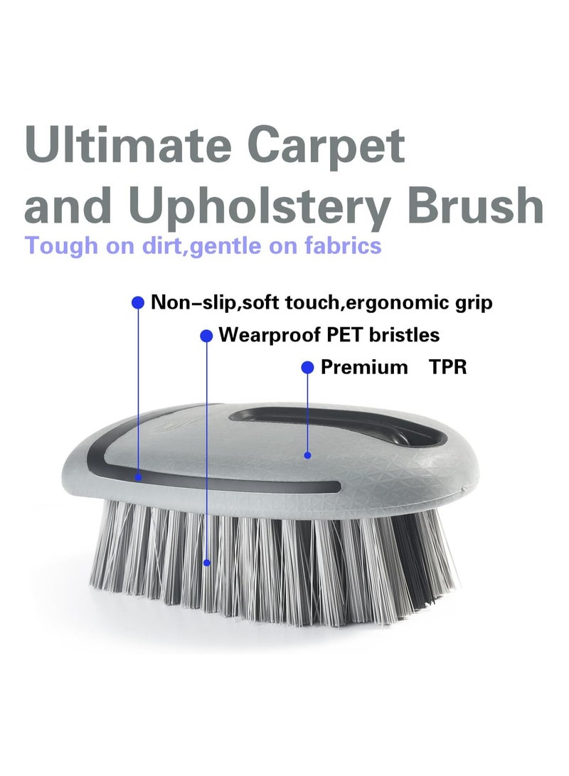 Oasisgalore Carpet and Upholstery Cleaning Brush,Carpet Scrubber Stiff Bristle Detailing Scrub Brushes for Car and Home - Image 2