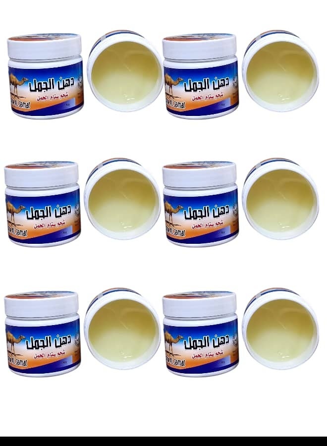 كاميل دهن سنام الجمل للمفاصل وخشونة الركب 100 جرام 6 قطعه