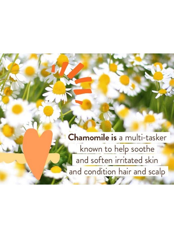 Babo Botanicals كريم حفاضات الأطفال الحساس الخالي من العطور، 25% أكسيد الزنك الطبيعي، آذريون، زبدة الشيا والكاكاو، معتمد من EWG، نباتي منذ الولادة - Image 5